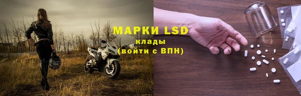 PSILOCYBIN Аркадак