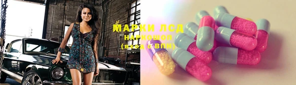 PSILOCYBIN Аркадак