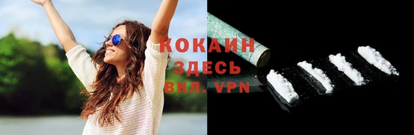 кокс Арсеньев