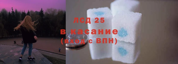 PSILOCYBIN Аркадак