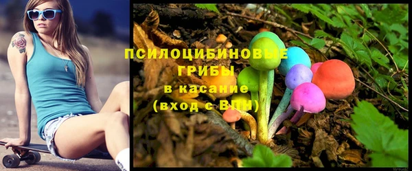 дмт Армянск