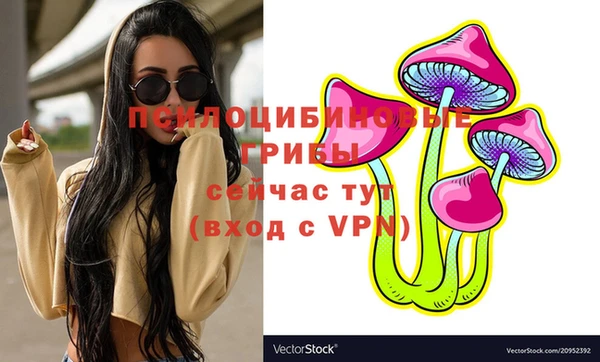 PSILOCYBIN Аркадак