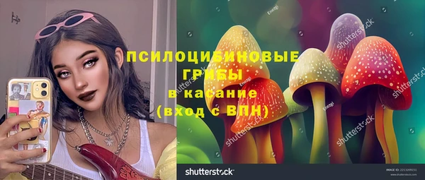 дмт Армянск