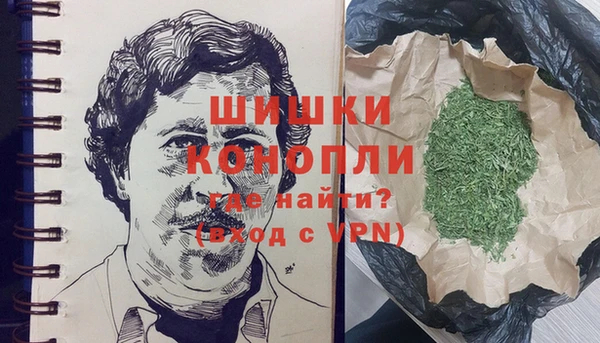 PSILOCYBIN Аркадак