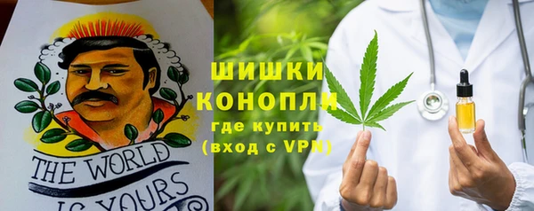 PSILOCYBIN Аркадак