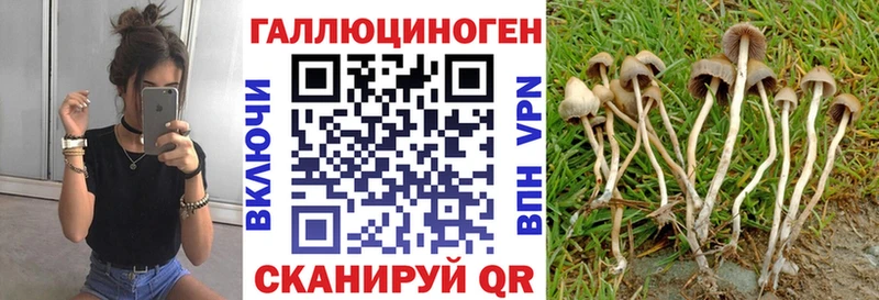 сайты даркнета состав  блэк спрут онион  Лянтор  как найти   Псилоцибиновые грибы мухоморы 